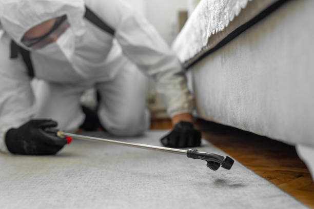 Professional Cockroach Control technician working in Waverly, MI