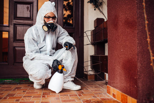 Reliable Cockroach Control contractor in Waverly, MI by Nex Pest Control